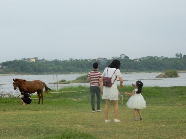 Bãi đá sông Hồng - điểm chụp ảnh hấp dẫn cho những ngày đầu đông - ảnh 6