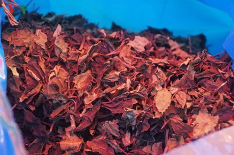 Cận cảnh container lá Khat độc gấp 500 lần ma túy - ảnh 9