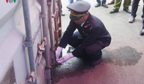Cận cảnh container lá Khat độc gấp 500 lần ma túy - ảnh 4