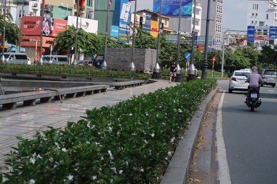 Bị đâm chết khi xin