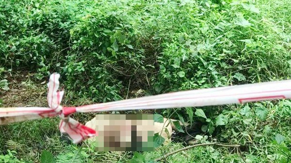 Người đàn ông nghi bị sát hại trong rừng cao su - ảnh 1