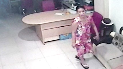 Làm giúp việc được 4 ngày, 'nữ quái' trộm gần 1 tỷ đồng - ảnh 1