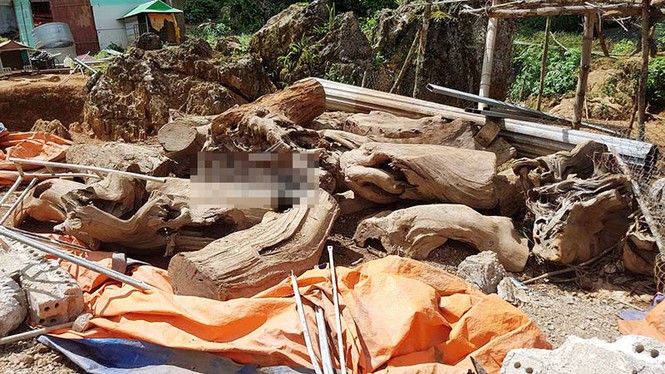 Vụ đánh sập thủ phủ ma túy Lóng Luông: Những bí mật lần đầu công bố - ảnh 1
