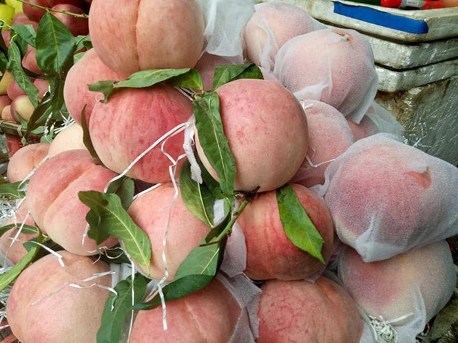 Actual gigantic peaches appear: 1kg / fruit, cheap as water spinach - photo 1