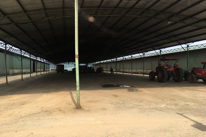 Đại dự án nghìn tỷ chỉ là bãi chuối hoang - ảnh 3