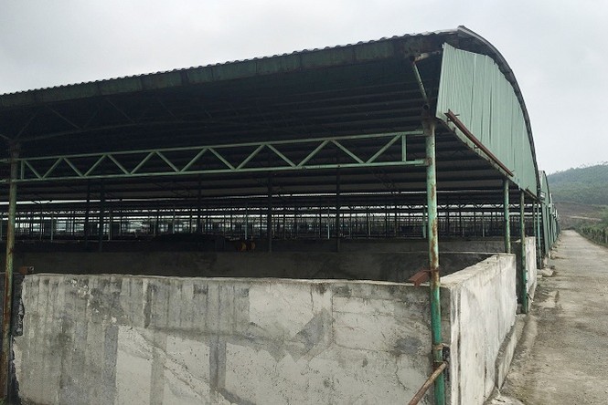 Đại dự án nghìn tỷ chỉ là bãi chuối hoang - ảnh 5