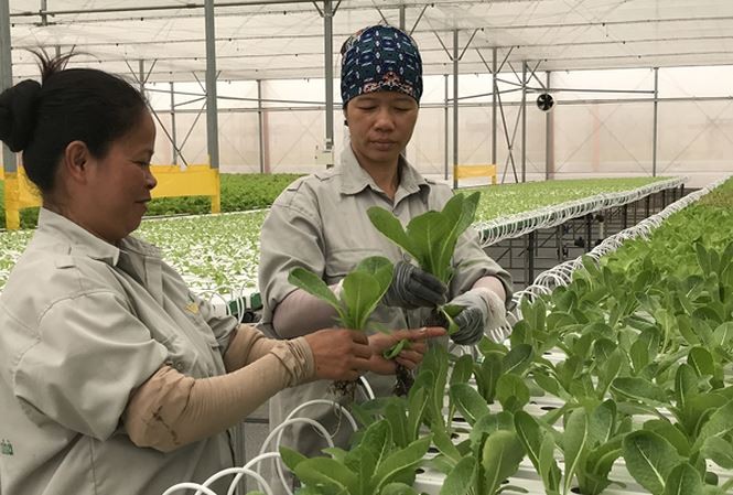 Các quy định, chính sách có hiệu lực từ tháng 8/2018 - ảnh 1