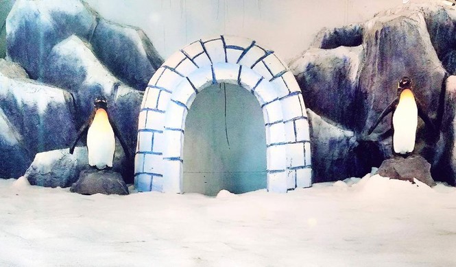 TPHCM có những nơi băng tuyết và lạnh giá dịp Noel - ảnh 3