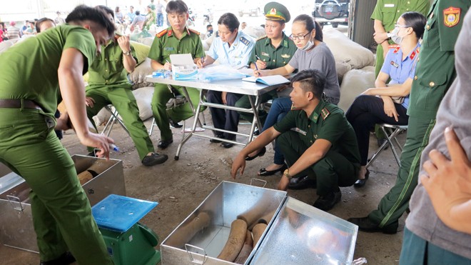 Cận cảnh 8 tấn ngà voi, vảy tê vừa bị thu giữ tại Đà Nẵng - ảnh 1