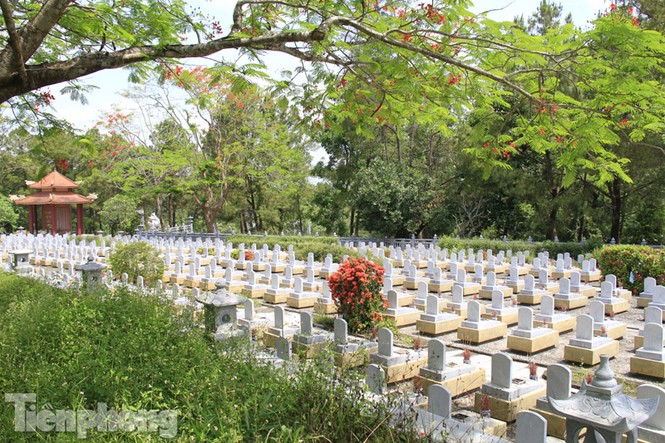 Từ Điện Biên, Trường Sơn đến... Trường Sa - ảnh 9