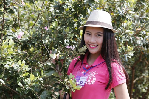 Thí sinh hoa hậu khoe sắc bên hoa sim - ảnh 7