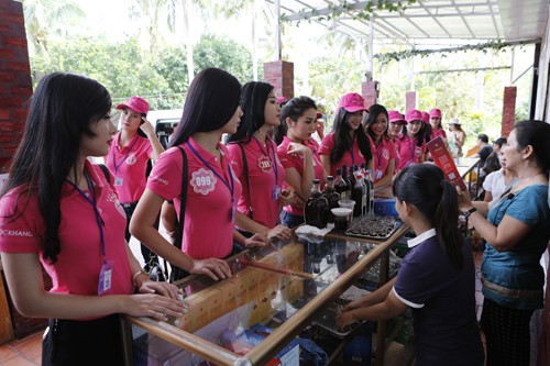 Thí sinh hoa hậu khoe sắc bên hoa sim - ảnh 9