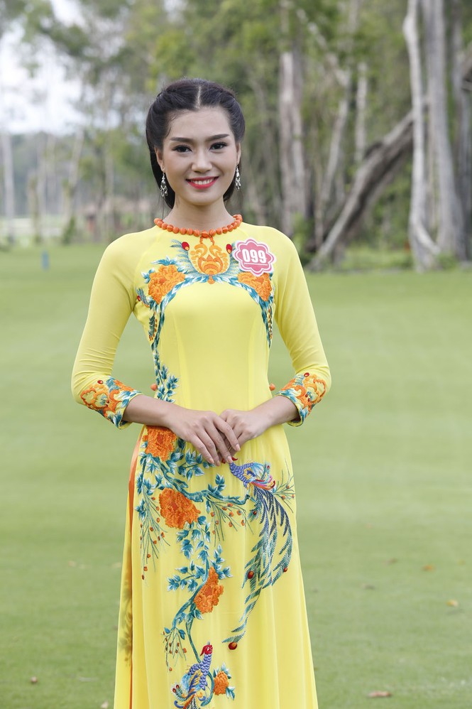 Người đẹp hoa hậu thướt tha áo dài - ảnh 11