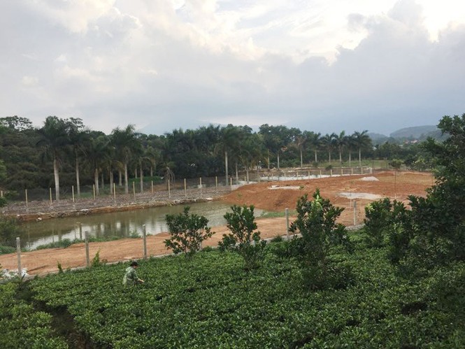 Lãnh đạo xã Yên Bài nói về đất nghi của Thứ trưởng Bộ TN&MT - ảnh 2