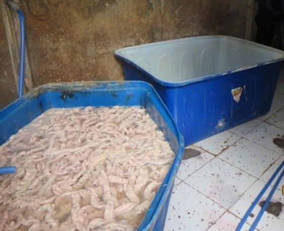Tẩy trắng lòng heo bằng oxy già - ảnh 1