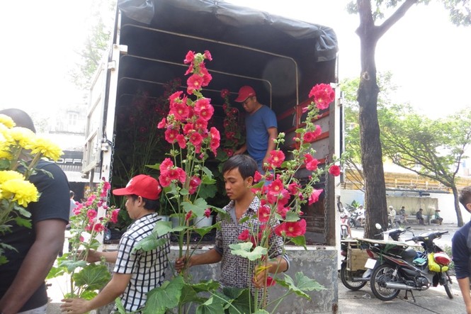 Lo bị 'ép rác', hoa tết xả hàng sớm ở Sài Gòn - ảnh 15