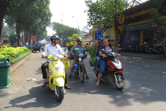 Lo bị 'ép rác', hoa tết xả hàng sớm ở Sài Gòn - ảnh 12