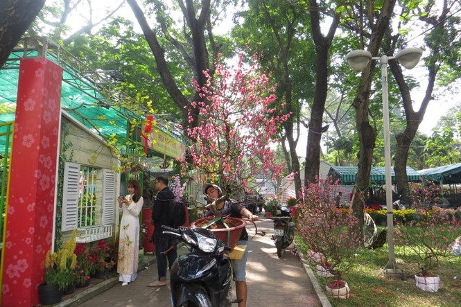 Lo bị 'ép rác', hoa tết xả hàng sớm ở Sài Gòn - ảnh 2