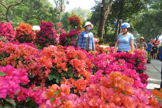 Lo bị 'ép rác', hoa tết xả hàng sớm ở Sài Gòn - ảnh 6