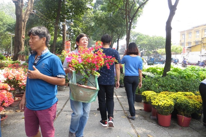 Lo bị 'ép rác', hoa tết xả hàng sớm ở Sài Gòn - ảnh 9