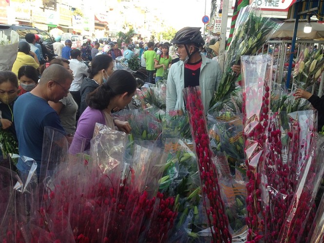 100.000 đồng/4 chậu hoa Tết ở Sài Gòn chiều cuối năm - ảnh 17
