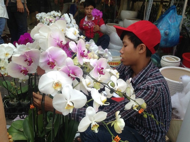 100.000 đồng/4 chậu hoa Tết ở Sài Gòn chiều cuối năm - ảnh 8