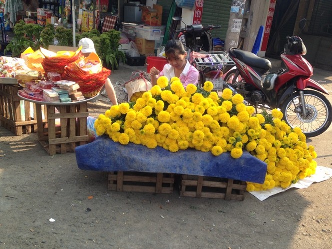 Giật mình rau xanh bán ở chợ lẻ Sài Gòn - ảnh 6