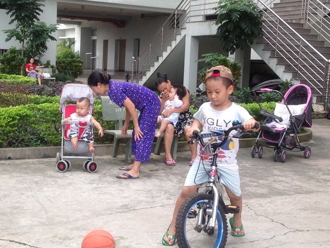 Đau đầu tìm người giúp việc sau Tết - ảnh 1