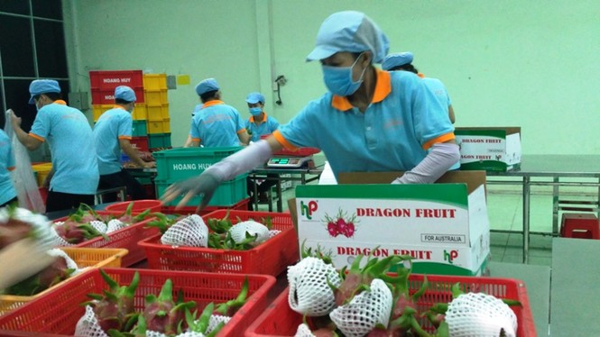 Xuất khẩu lần đầu tiên vượt mốc 200 tỷ USD - ảnh 2