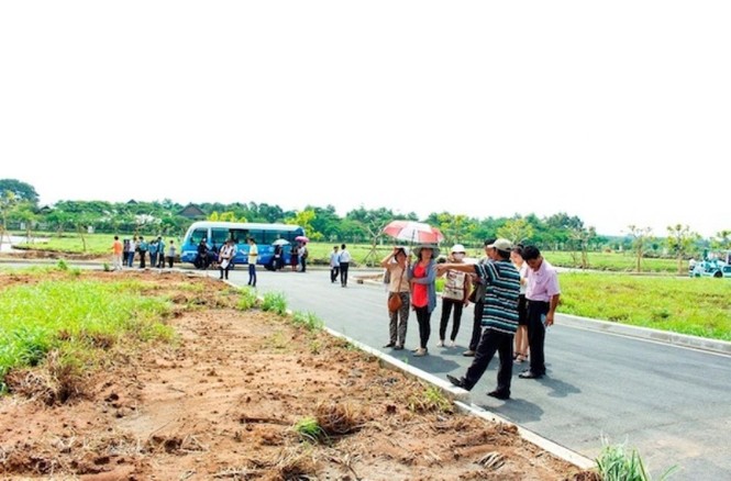 Giữa cơn
