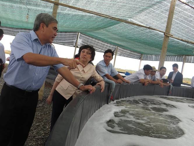 Sóc Trăng than khó đầu ra sản phẩm nông nghiệp - ảnh 1