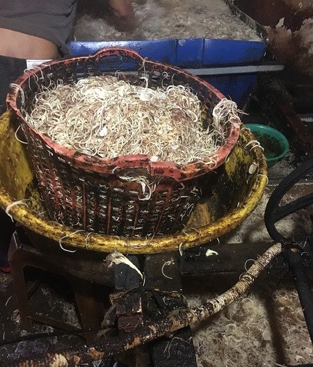 Kinh hoàng bắp chuối được 'tắm trắng' bằng hóa chất - ảnh 2