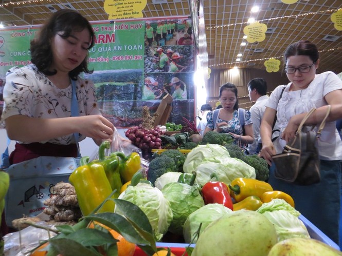Tiếp cận vốn ngân hàng - những góc nhìn khác biệt - ảnh 2