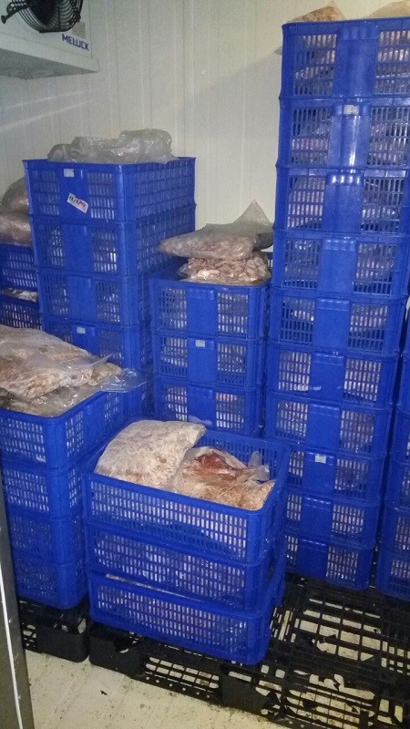 Phát hiện cơ sở bán hơn trăm ký thịt heo quá hạn sử dụng - ảnh 1