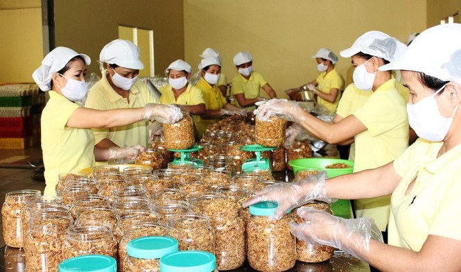 Gian nan kết nối kiều bào với doanh nghiệp Việt - ảnh 2