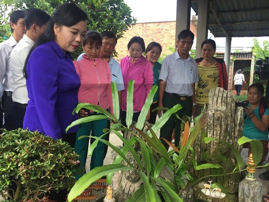 phòng chống dịch sốt xuất huyết - ảnh 1