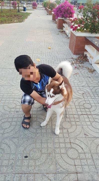 Chó cắn đứt mũi bé trai - ảnh 13