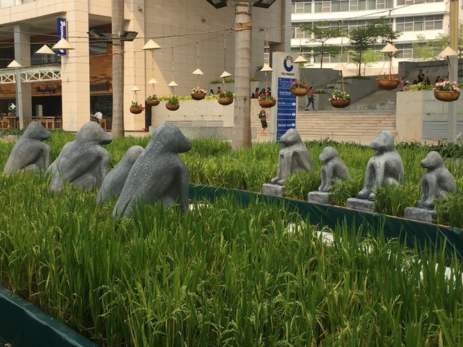 Đường hoa xuân đậm nét quê ở 'phố nhà giàu' Sài Gòn - ảnh 6