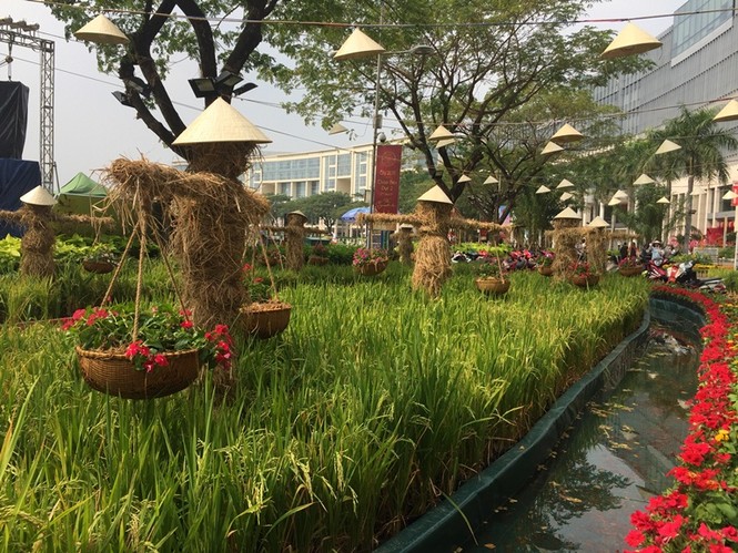 Đường hoa xuân đậm nét quê ở 'phố nhà giàu' Sài Gòn - ảnh 4