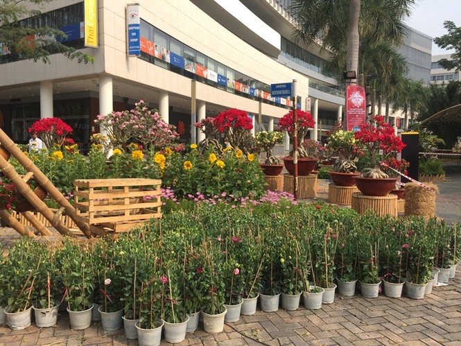 Đường hoa xuân đậm nét quê ở 'phố nhà giàu' Sài Gòn - ảnh 7