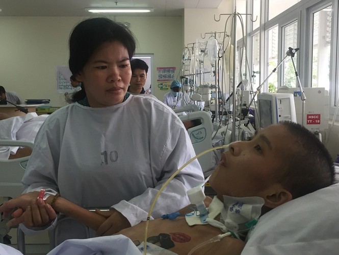 Xót xa cảnh mẹ bán sen nuôi con nằm viện: 'Con ơi, mẹ cạn tiền rồi!' - ảnh 2