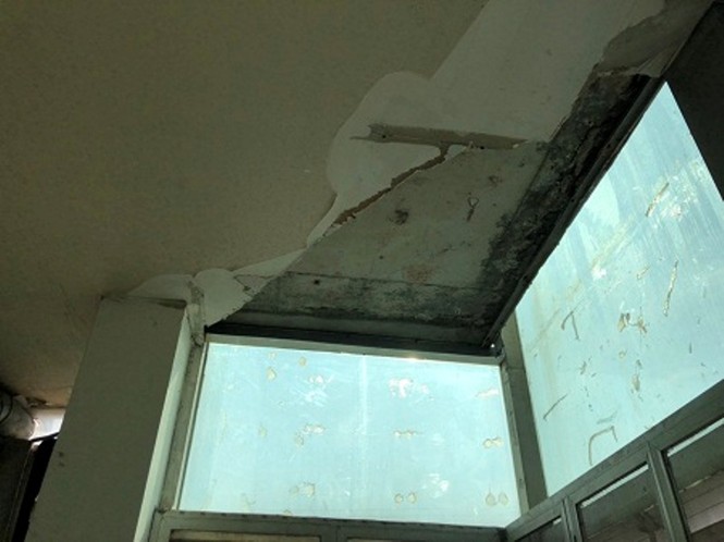 Cơ sở cung cấp bánh mì khiến 55 người nghi ngộ độc bị xử phạt 84 triệu - ảnh 2