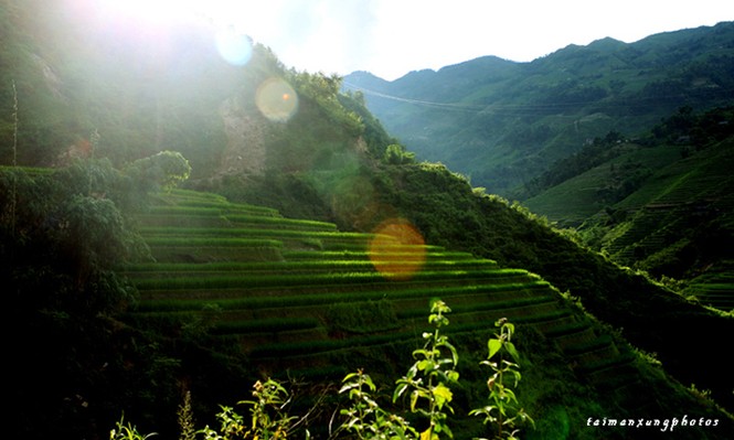 Cuốn hút ruộng bậc thang Hoàng Su Phì - ảnh 8