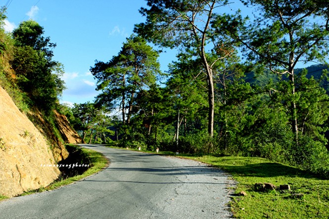 Cuốn hút ruộng bậc thang Hoàng Su Phì - ảnh 1