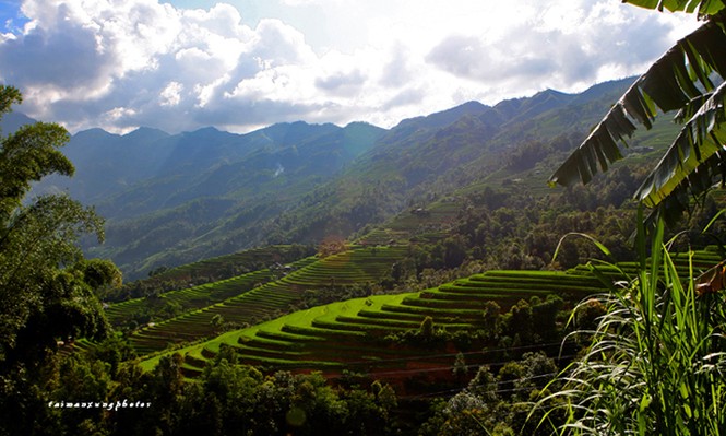 Cuốn hút ruộng bậc thang Hoàng Su Phì - ảnh 6