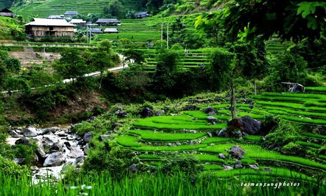 Cuốn hút ruộng bậc thang Hoàng Su Phì - ảnh 2