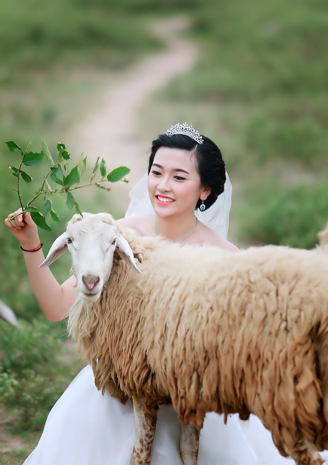 Ngắm 25 thí sinh đẹp nhất Hoa khôi Sinh viên Hà Nội 2016 - ảnh 23