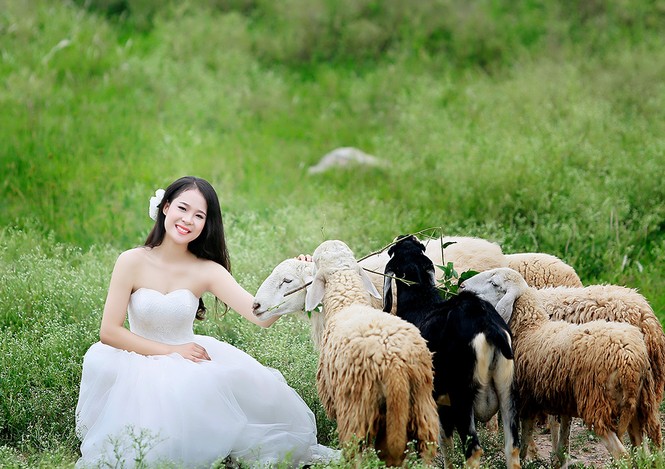 Ngắm 25 thí sinh đẹp nhất Hoa khôi Sinh viên Hà Nội 2016 - ảnh 9