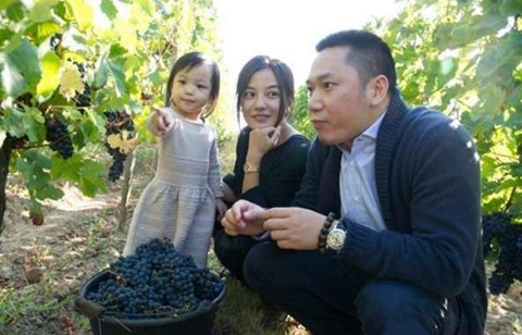 Triệu Vy kiếm gần 700 tỷ đồng chỉ trong 9 ngày - ảnh 2
