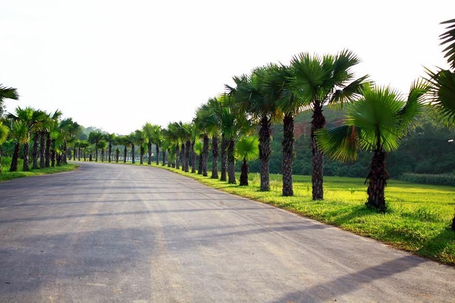Cận cảnh nghĩa trang như resort ở Phú Thọ - ảnh 2